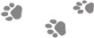 _2