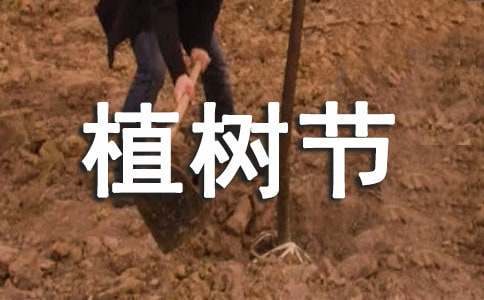 如何在有限时间内最大化篮球训练效果的策略_0