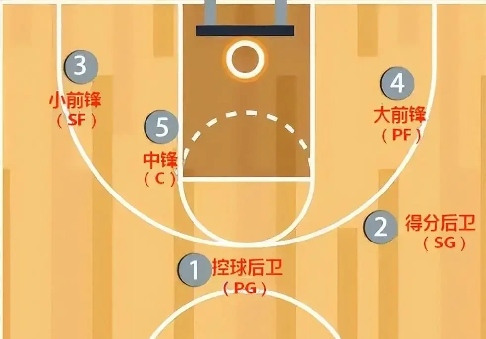 哪里能找到关于篮球前锋位置的训练课程