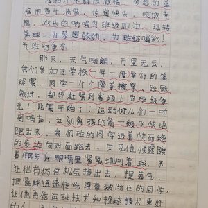 篮球训练心得300字怎么写