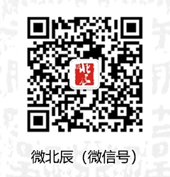 篮球体能训练计划模板大学生_2