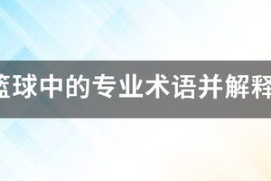求篮球的专业英语术语